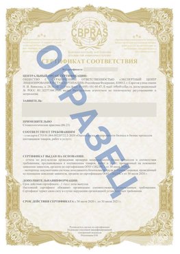 Образец Сертификат СТО 01.064.00220722.2-2020 Елабуга Сертификат СТО 01.064.00220722.2-2020 